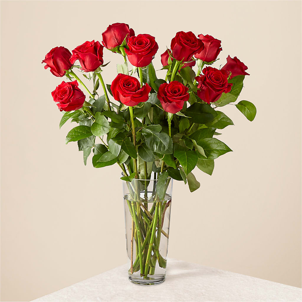 Long Stem Red Rose Bouquet – Sandelas Flower Shop, Chicago IL
