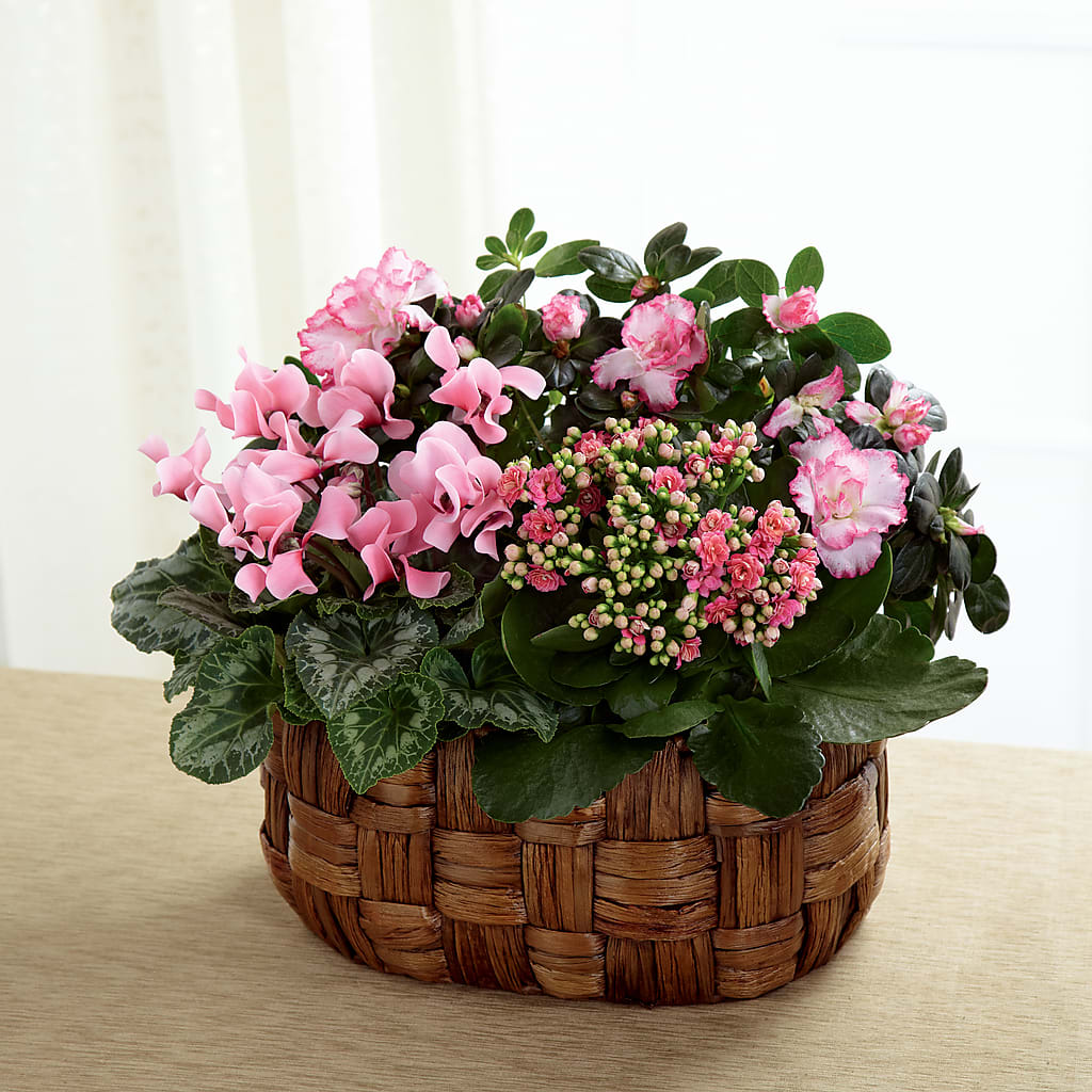 Pink Assortment – Sandelas Flower Shop, Chicago IL