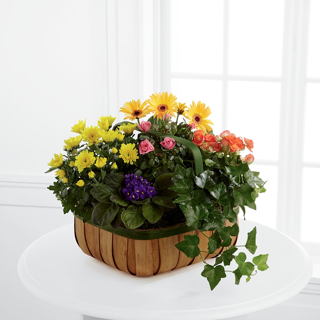 Gentle Blossoms Basket – Sandelas Flower Shop, Chicago IL