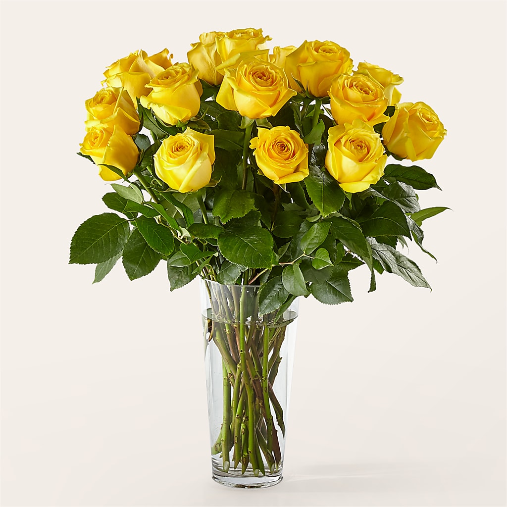 Long Stem Yellow Rose Bouquet – Sandelas Flower Shop, Chicago IL