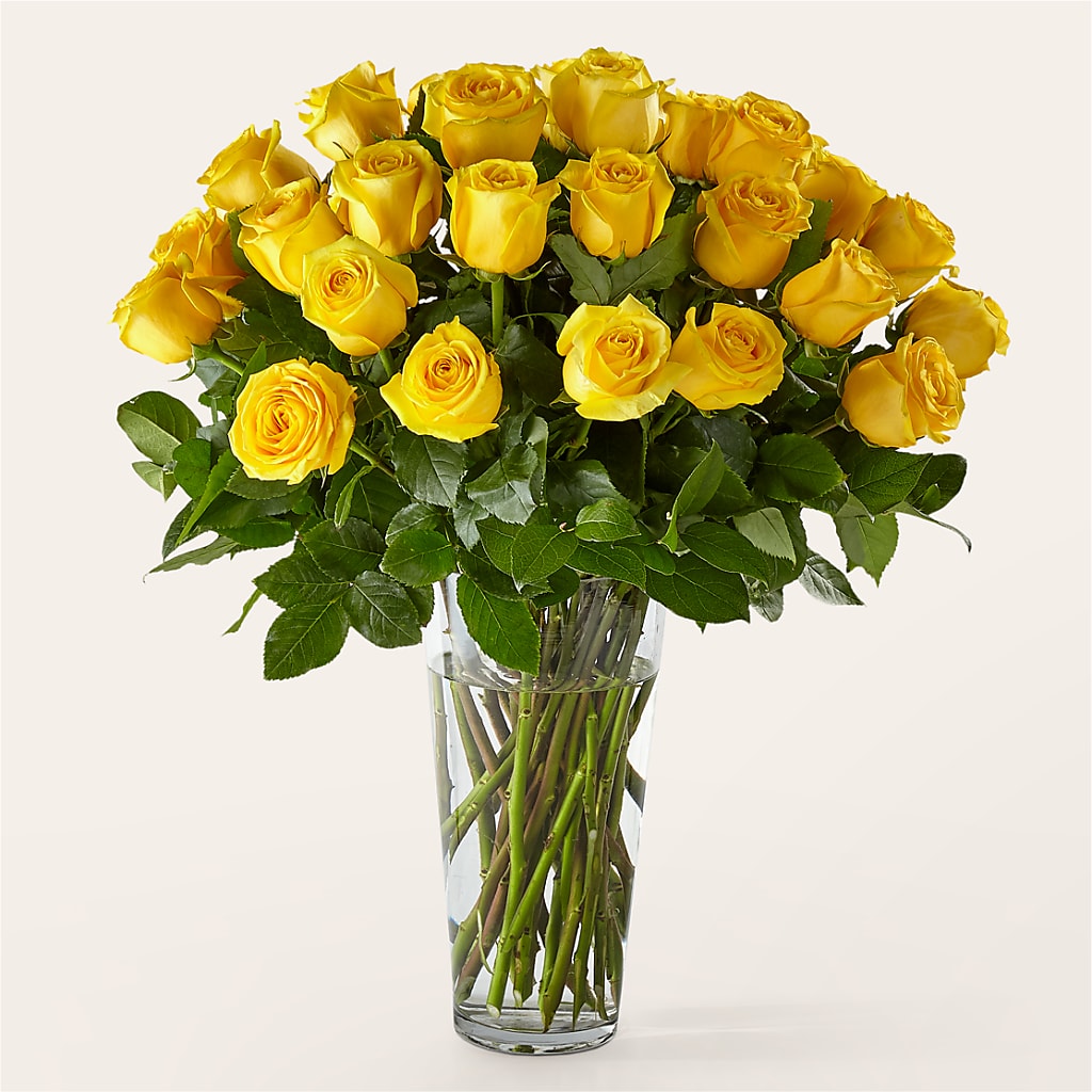 Long Stem Yellow Rose Bouquet – Sandelas Flower Shop, Chicago IL