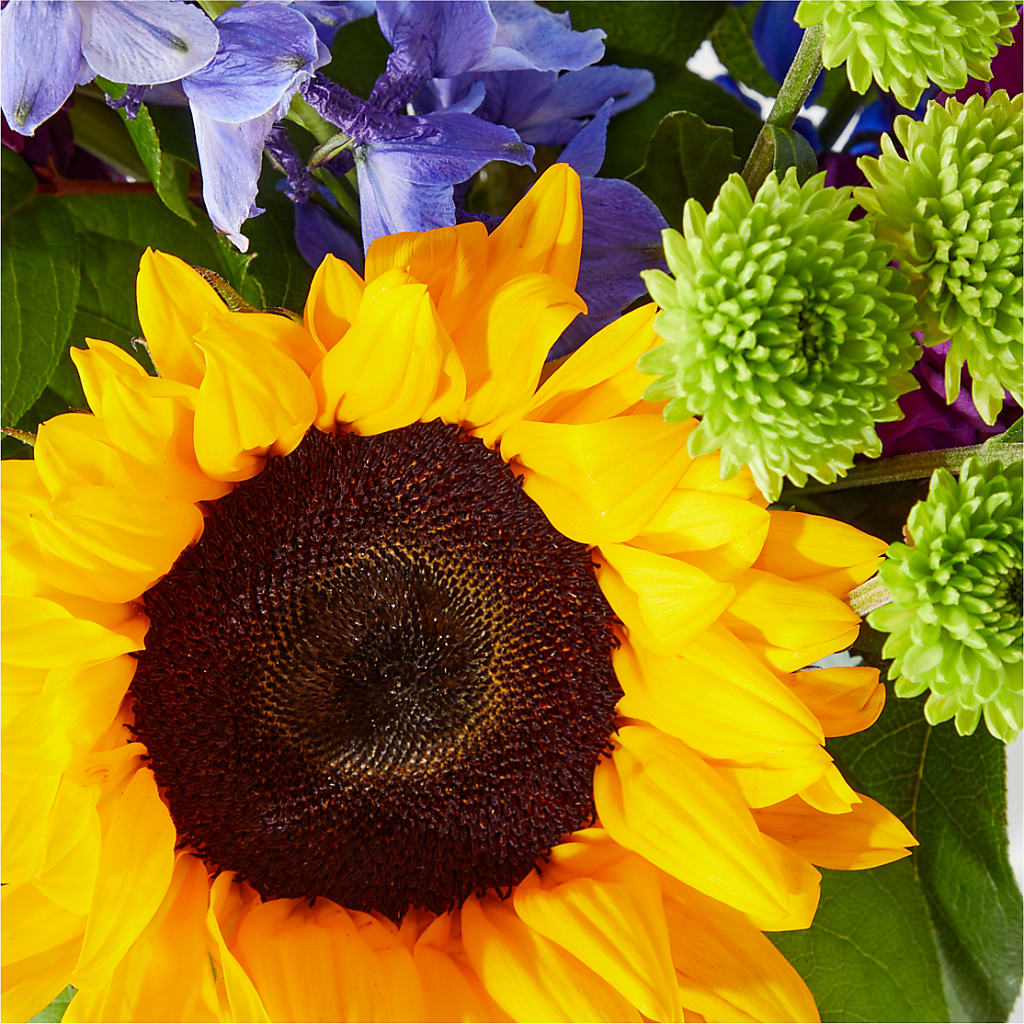 Catching Rays Bouquet – Sandelas Flower Shop, Chicago IL