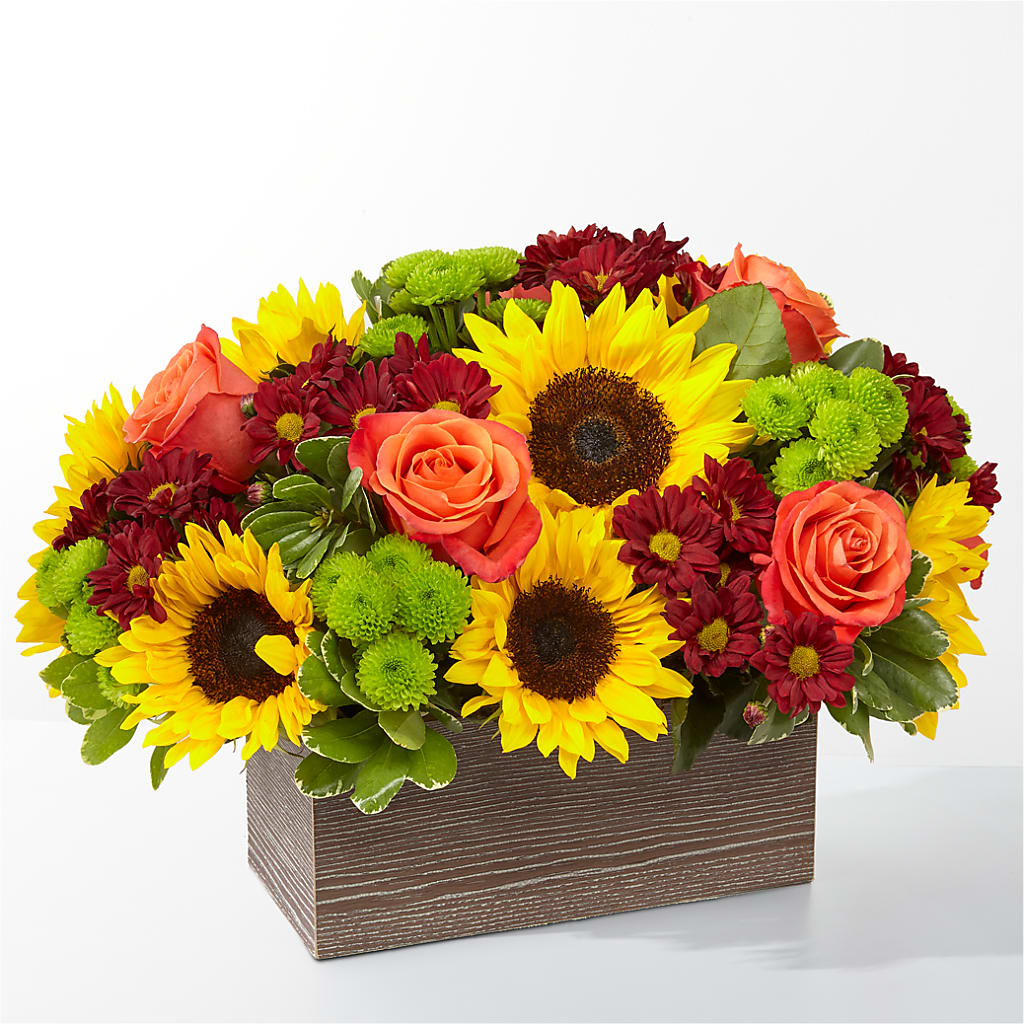 Happy Harvest Garden – Sandelas Flower Shop, Chicago IL
