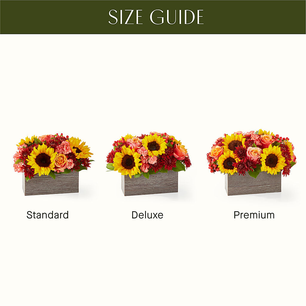 Fresh Cider Bouquet – Sandelas Flower Shop, Chicago IL
