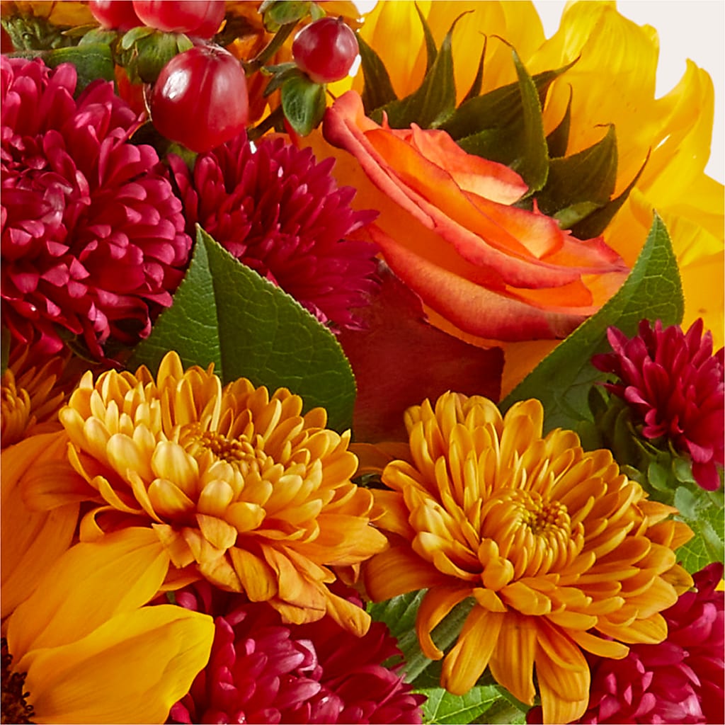 Sweater Season - A Florist Original – Sandelas Flower Shop, Chicago IL