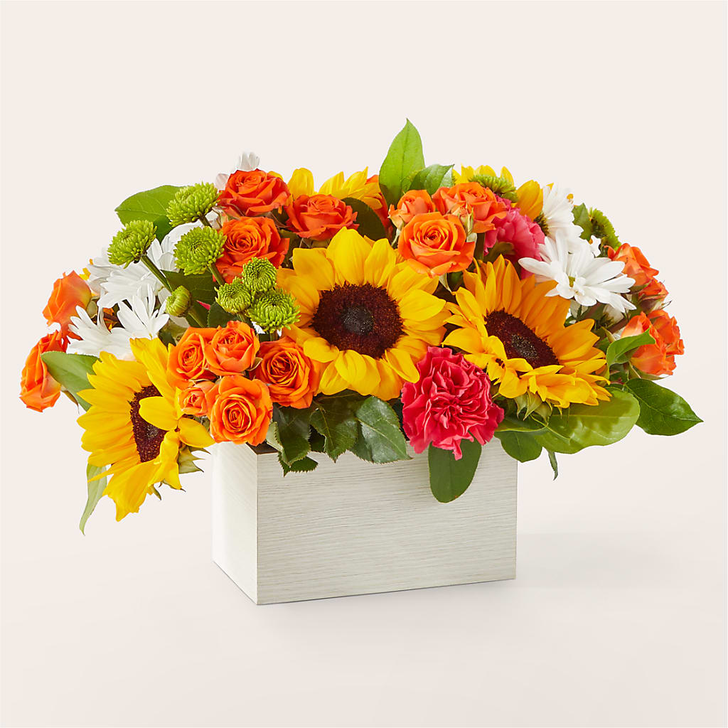 Sun-drenched Blooms Box Bouquet – Sandelas Flower Shop, Chicago IL