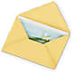 Greeting Card – Sandelas Flower Shop, Chicago IL