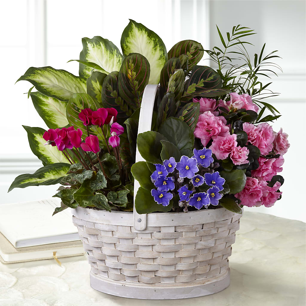 Peaceful Garden Planter – Sandelas Flower Shop, Chicago IL