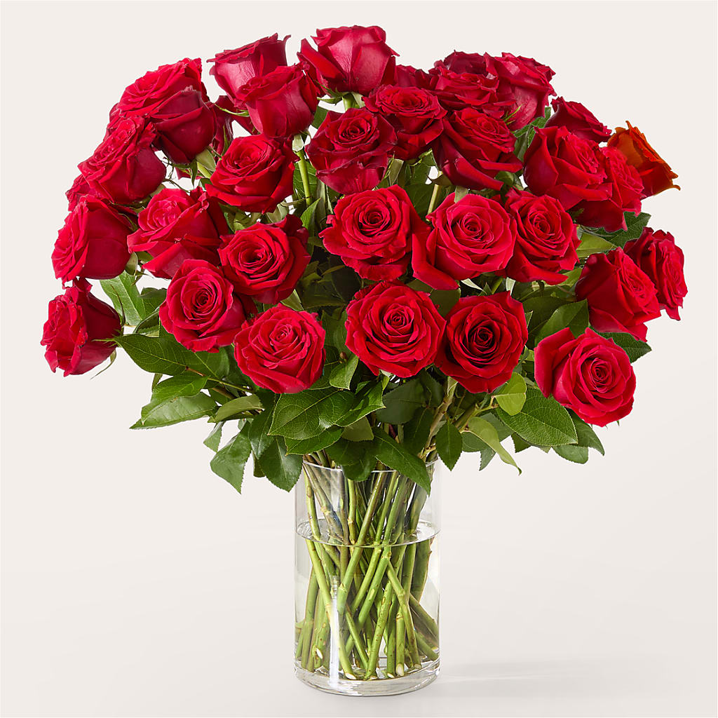 The One Red Rose Bouquet – Sandelas Flower Shop, Chicago IL