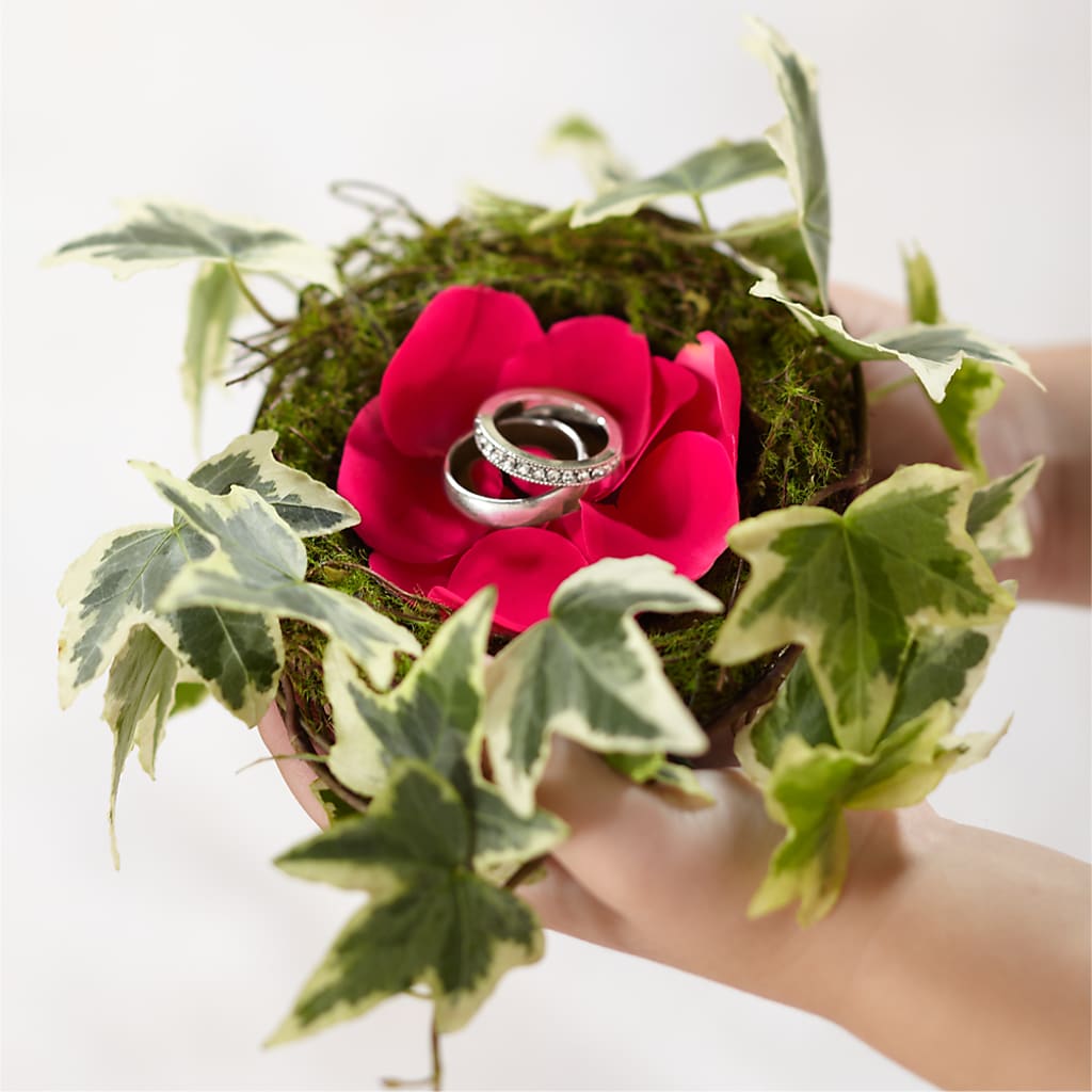 Lila Rose Ring Nest – Sandelas Flower Shop, Chicago IL