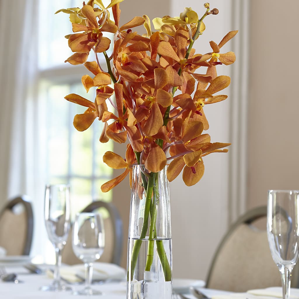 Orange Mokara Bud Vase – Sandelas Flower Shop, Chicago IL