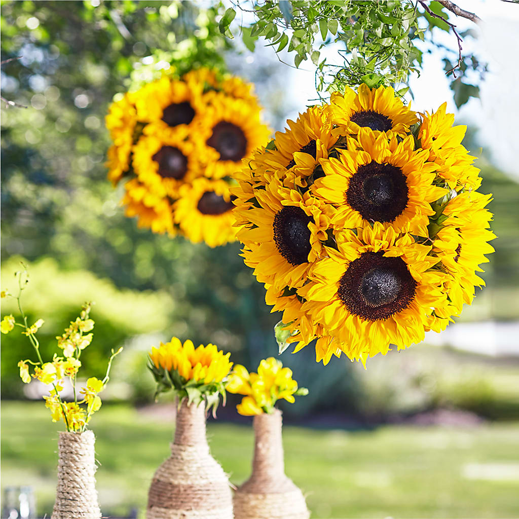Sublime Garden Hanging Arrangement – Sandelas Flower Shop, Chicago IL