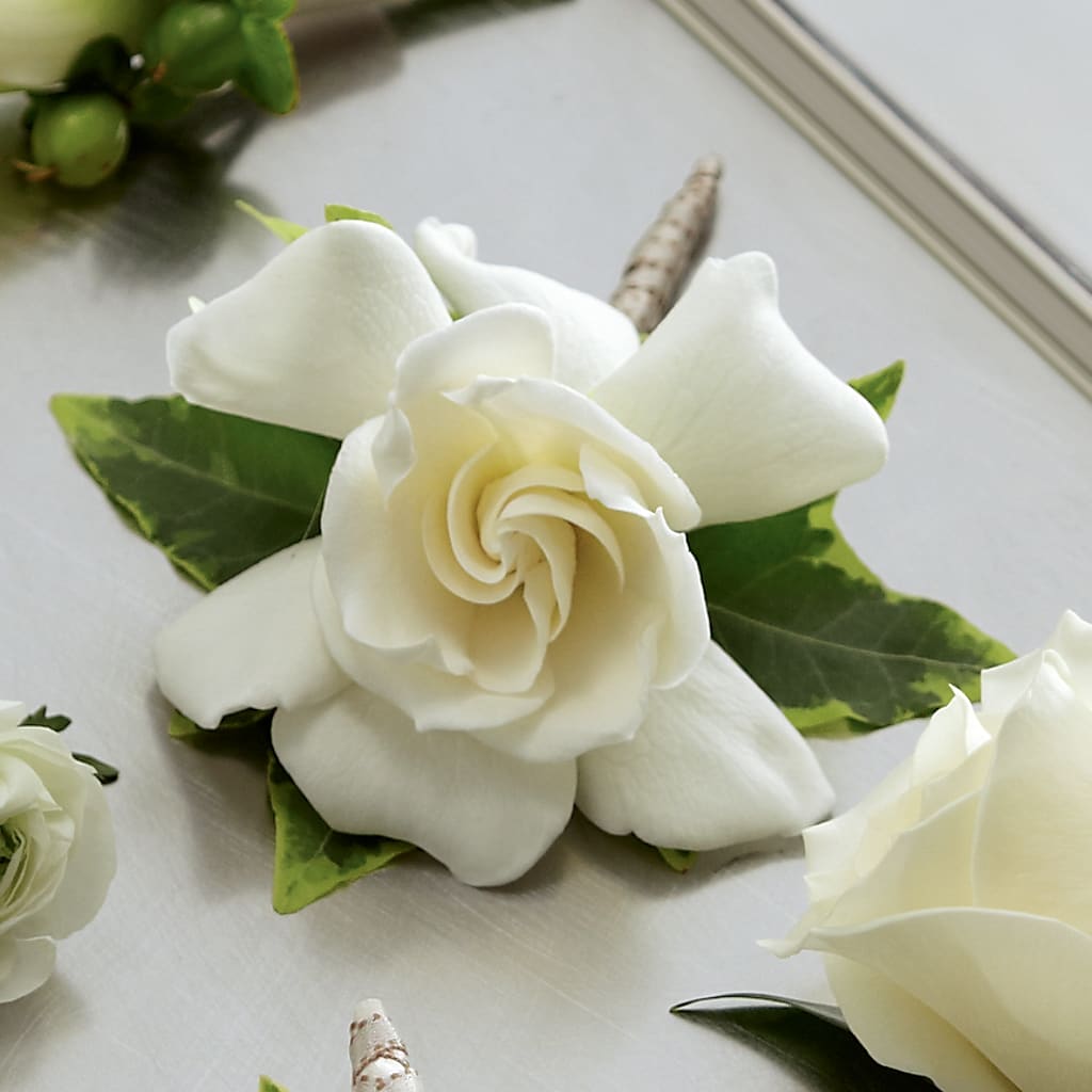 Gardenia Boutonniere – Sandelas Flower Shop, Chicago IL