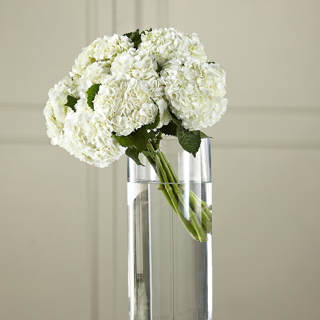 White Hydrangea Hand-Tied Bouquet – Sandelas Flower Shop, Chicago IL