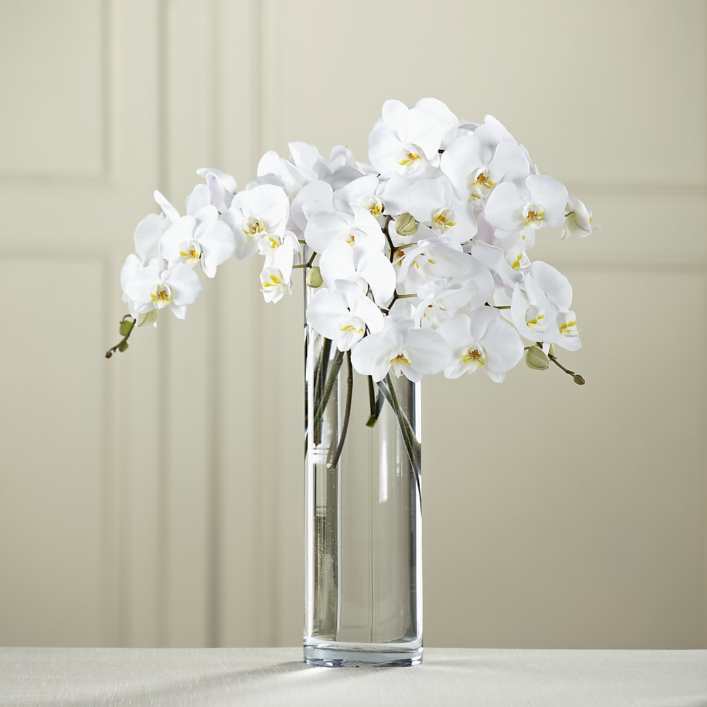 White Phalaenopsis Bouquet – Sandelas Flower Shop, Chicago IL
