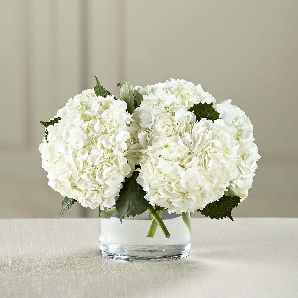White Hydrangea Bouquet – Sandelas Flower Shop, Chicago IL