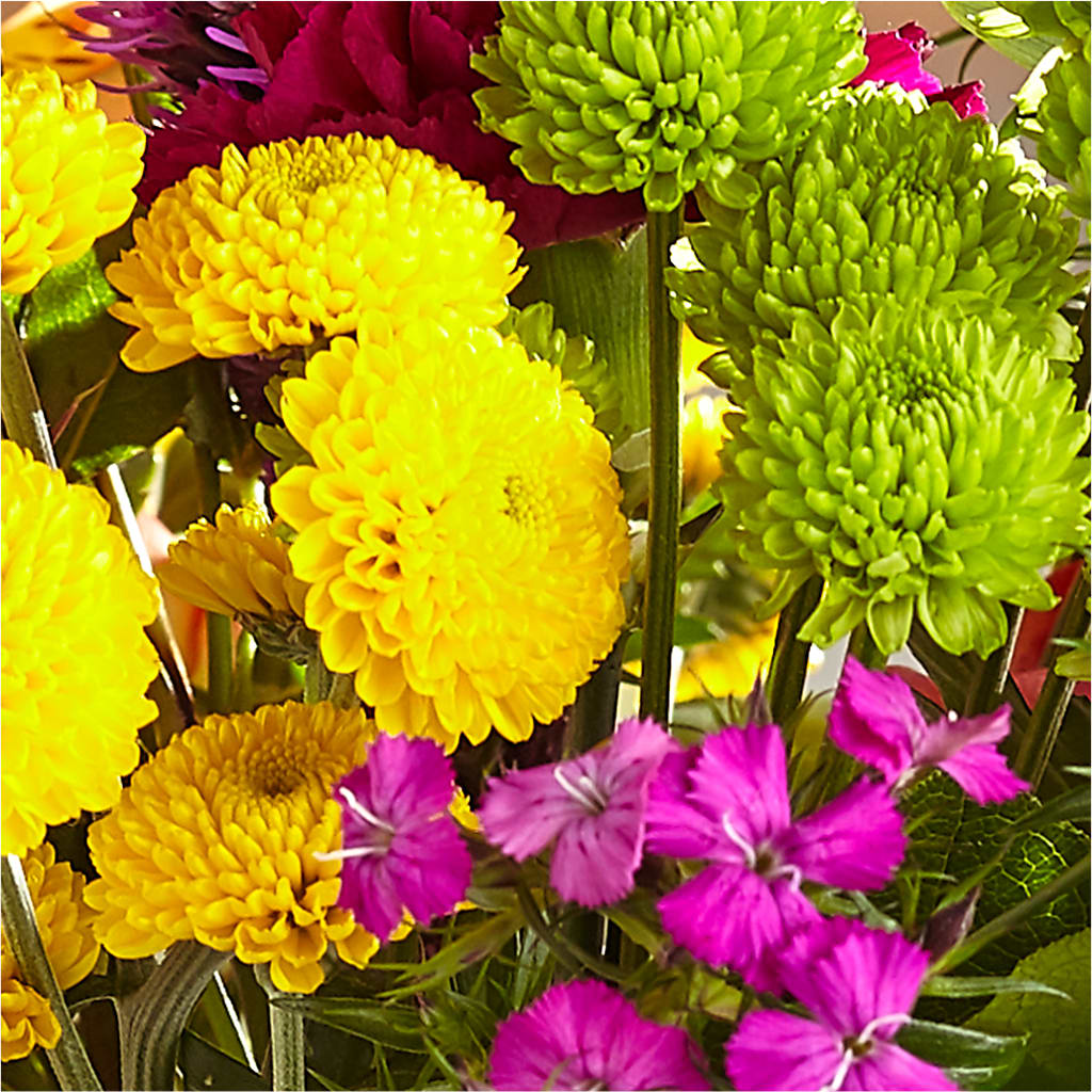 Bold & Bright – A Florist Original –  Sandelas Flower Shop, Chicago IL