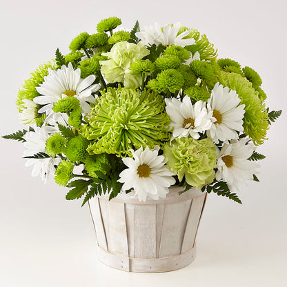 Lucky Charm Basket (Standard) –  Sandelas Flower Shop, Chicago IL