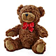 Adorable Plush Bear –  Sandelas Flower Shop, Chicago IL