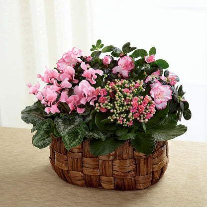 Pink Assortment –  Sandelas Flower Shop, Chicago IL
