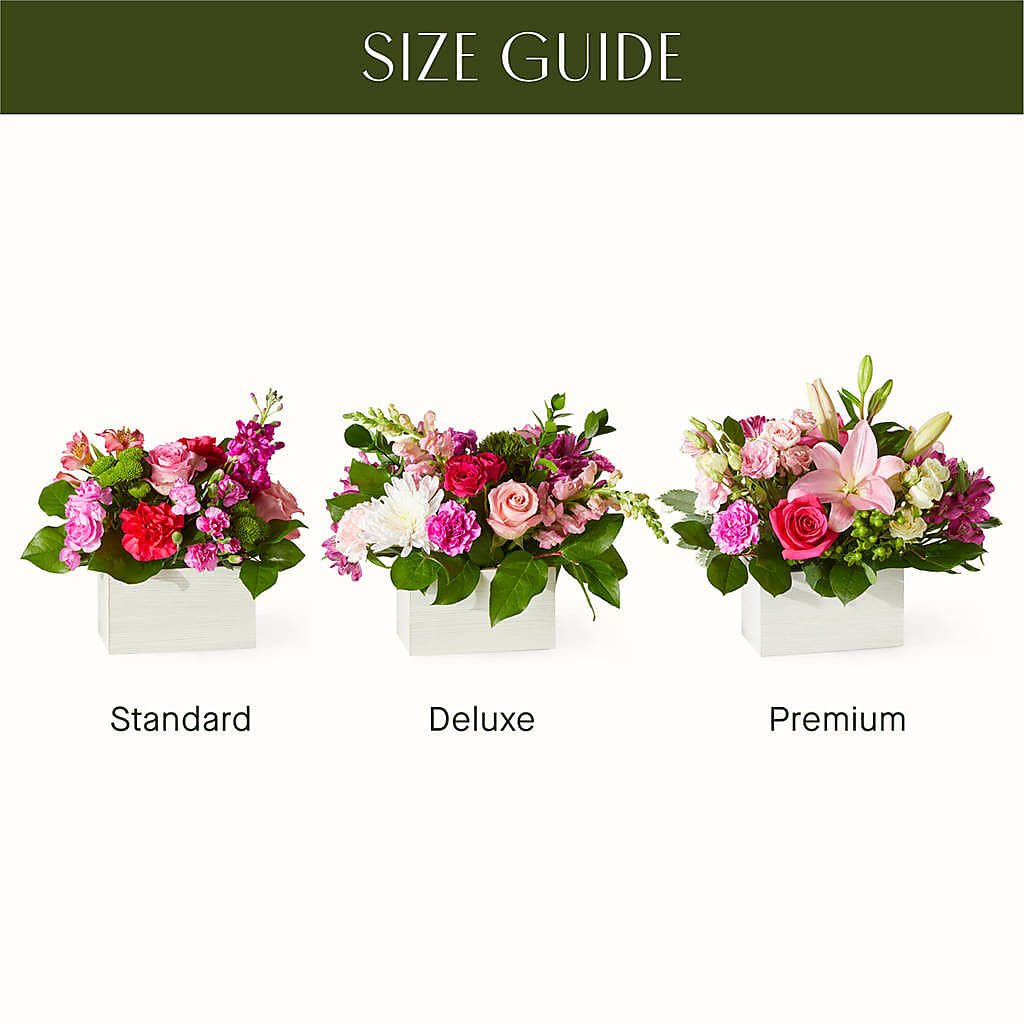 Sweetberry Box – A Florist Original –  Sandelas Flower Shop, Chicago IL