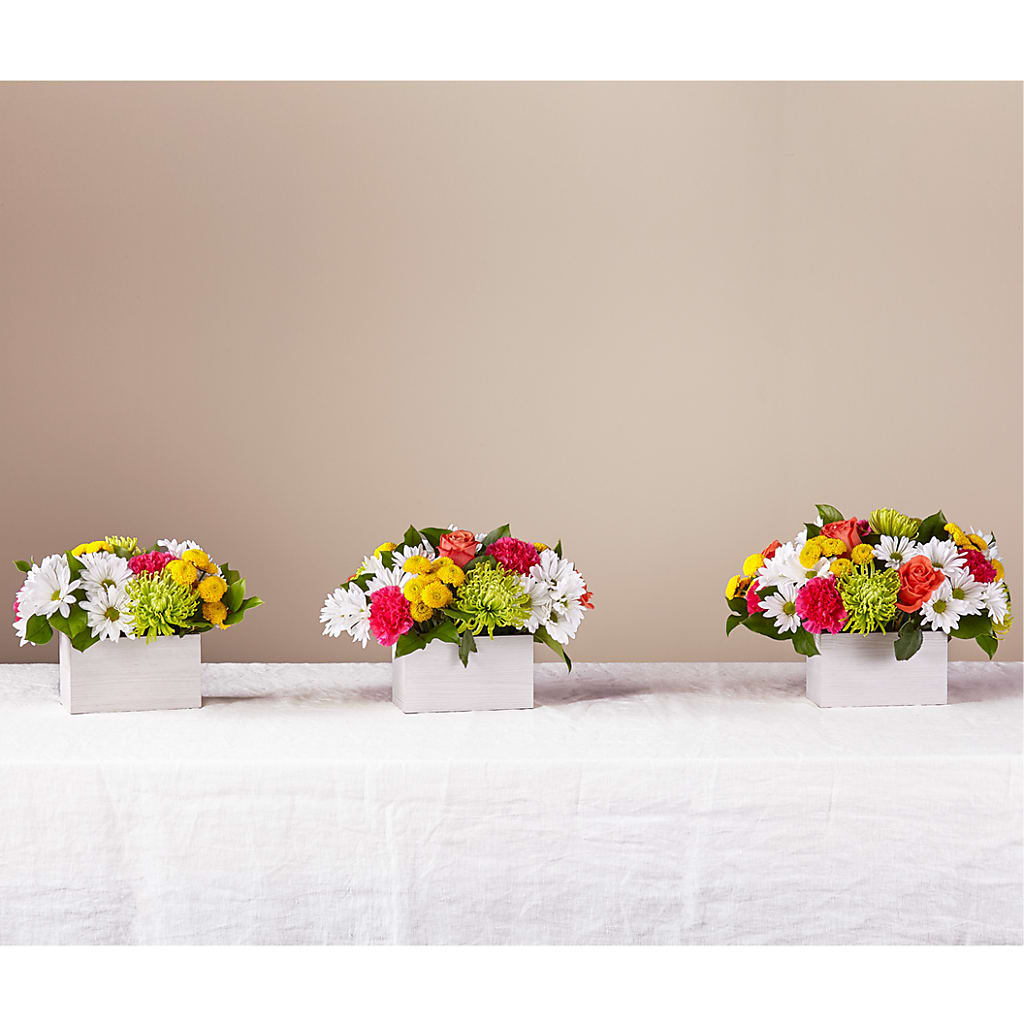 Sorbet Bouquet –  Sandelas Flower Shop, Chicago IL