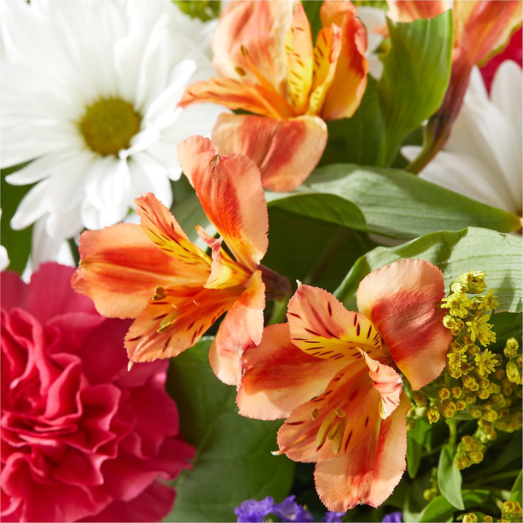 Oopsie Daisy Box Bouquet –  Sandelas Flower Shop, Chicago IL