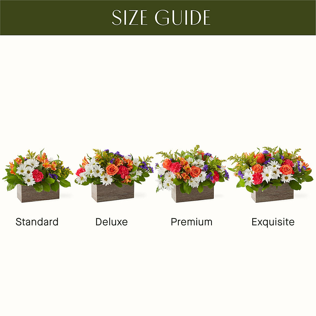 Oopsie Daisy Box Bouquet –  Sandelas Flower Shop, Chicago IL