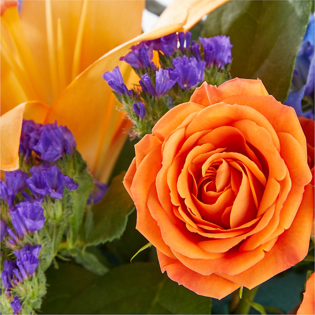 Radiant Citrus Box Bouquet –  Sandelas Flower Shop, Chicago IL