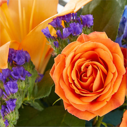 Radiant Citrus Box Bouquet –  Sandelas Flower Shop, Chicago IL