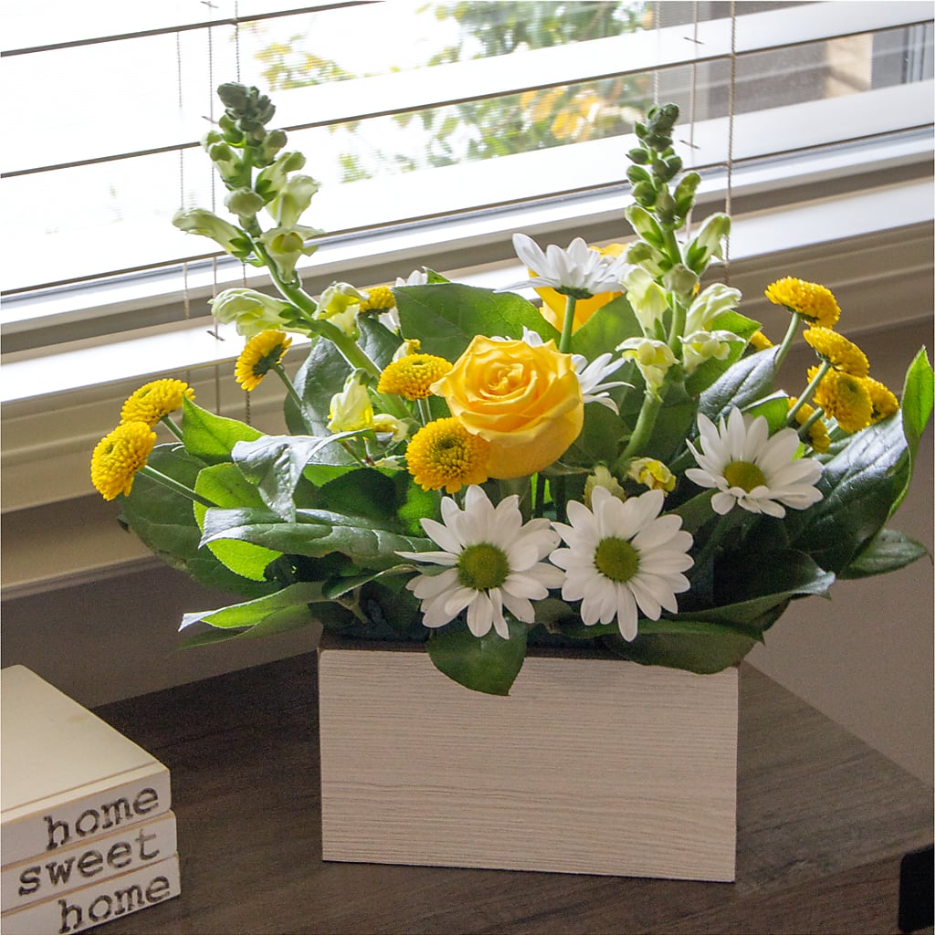 Sun Salutation Box Bouquet –  Sandelas Flower Shop, Chicago IL