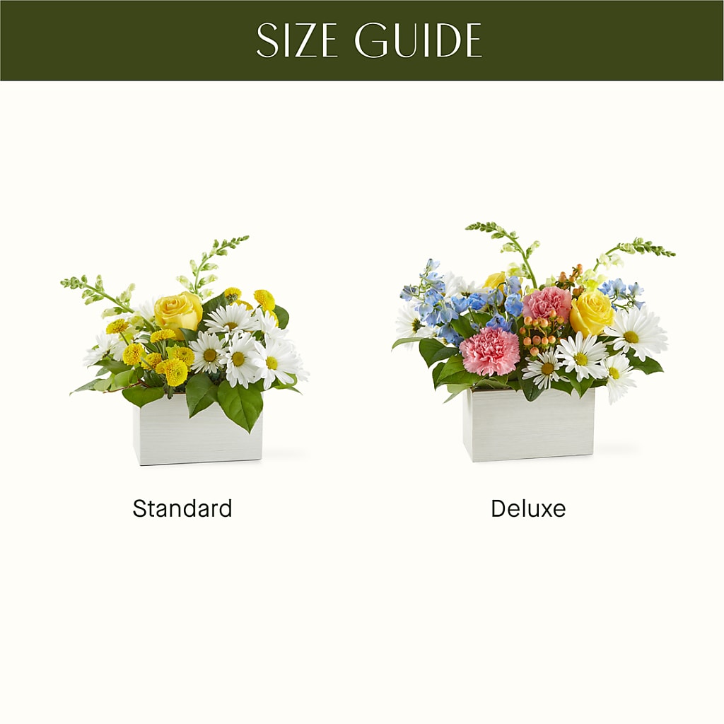 Sun Salutation Box Bouquet –  Sandelas Flower Shop, Chicago IL