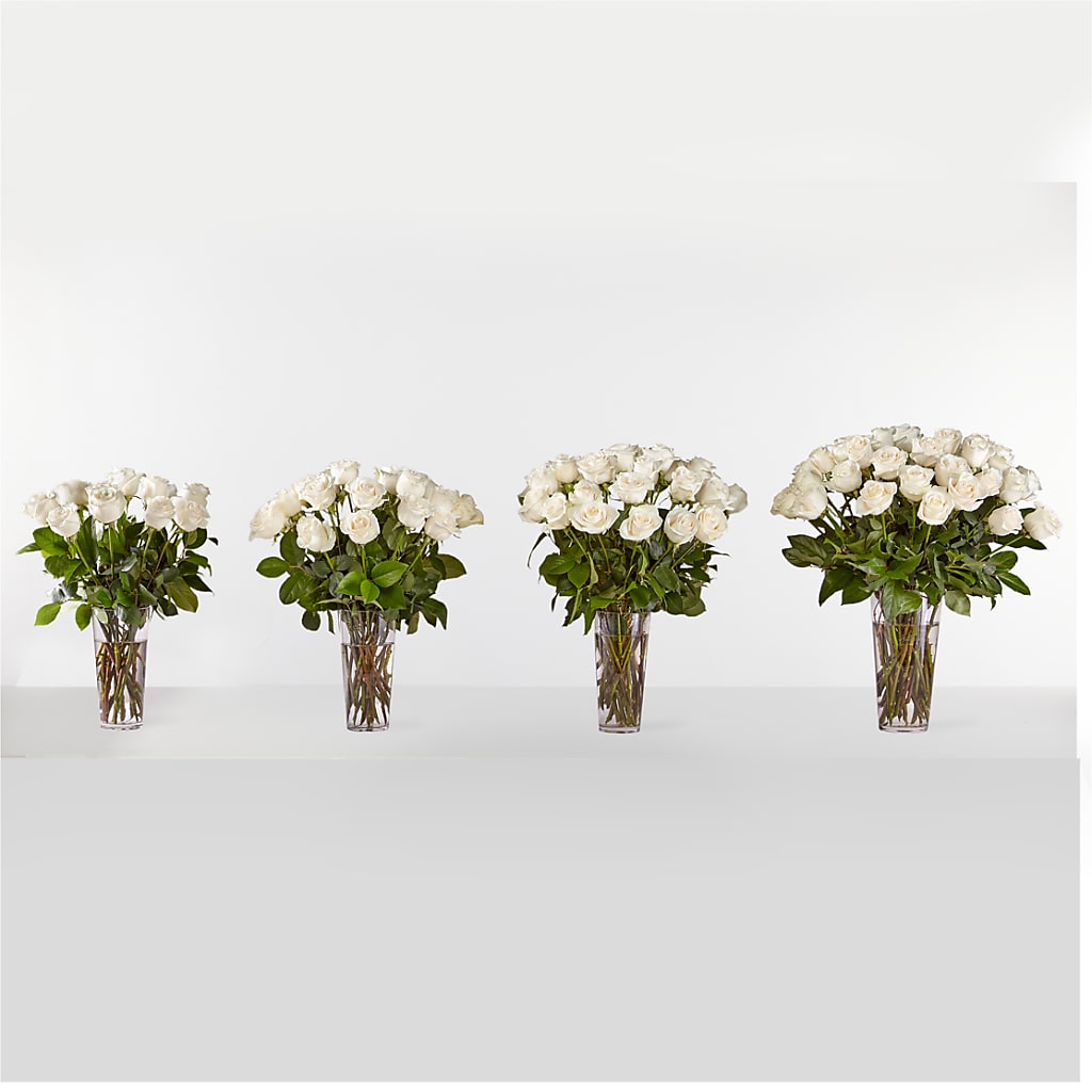 Long Stem White Rose Bouquet –  Sandelas Flower Shop, Chicago IL