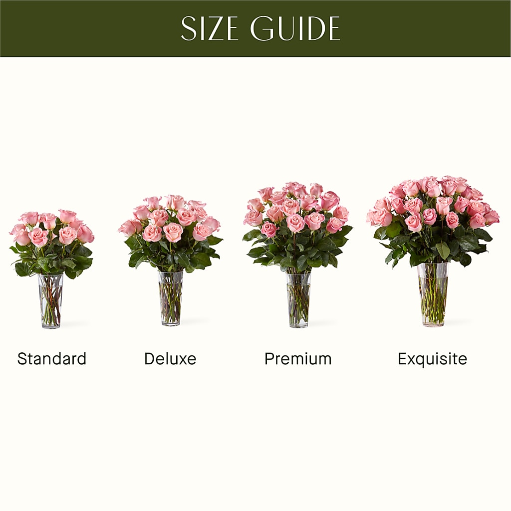 Long Stem Pink Rose Bouquet –  Sandelas Flower Shop, Chicago IL