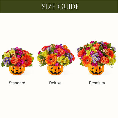Tricks & Treats Pumpkin –  Sandelas Flower Shop, Chicago IL