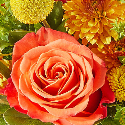 Gourdgeous Pumpkin –  Sandelas Flower Shop, Chicago IL