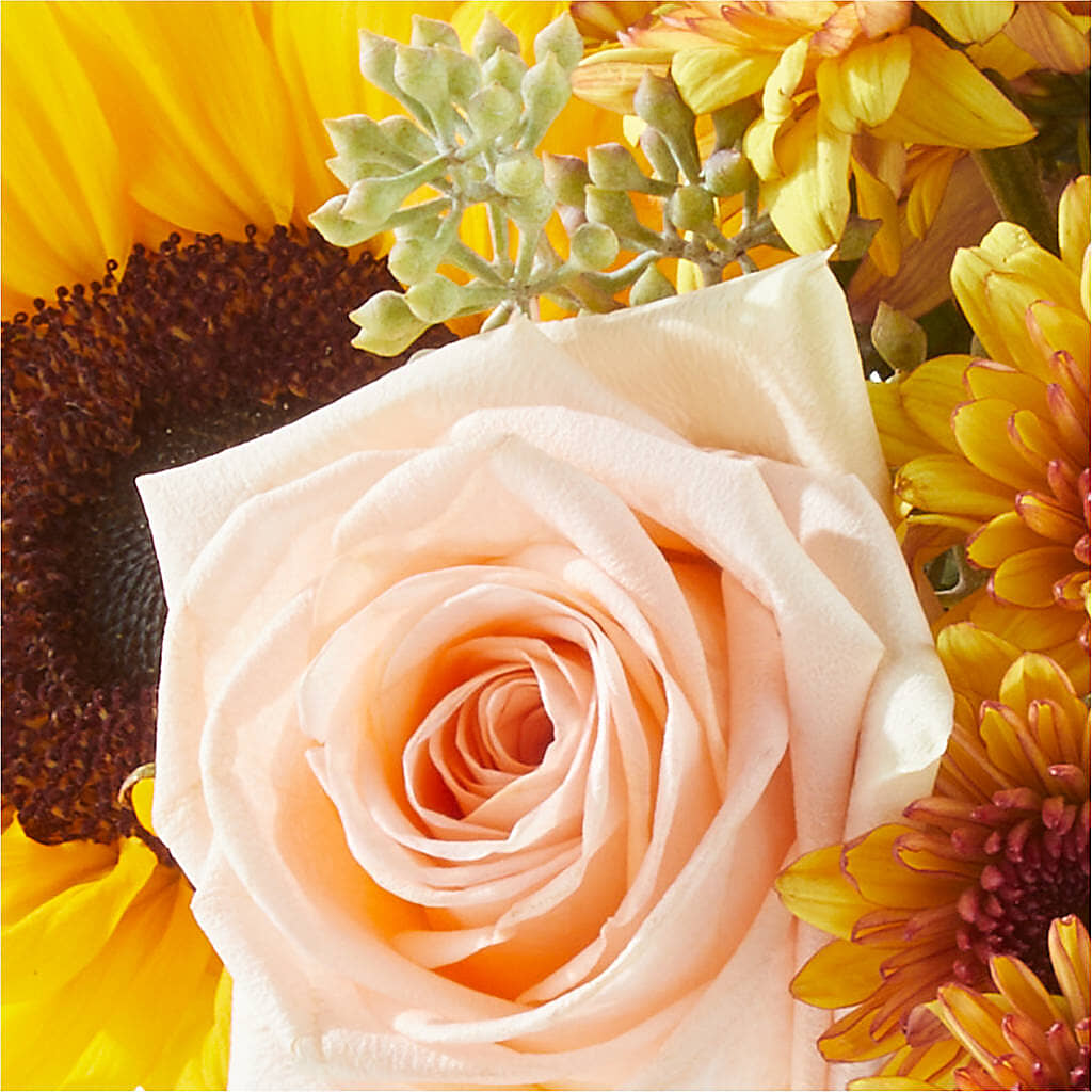 Pumpkin to Talk About Bouquet –  Sandelas Flower Shop, Chicago IL