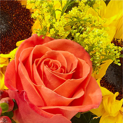 Pick of the Patch Pumpkin Bouquet –  Sandelas Flower Shop, Chicago IL