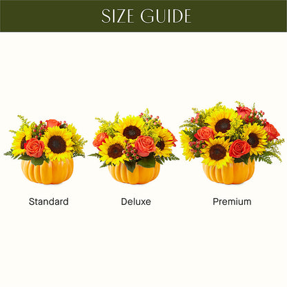 Pick of the Patch Pumpkin Bouquet –  Sandelas Flower Shop, Chicago IL