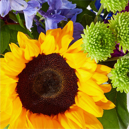 Catching Rays Bouquet –  Sandelas Flower Shop, Chicago IL