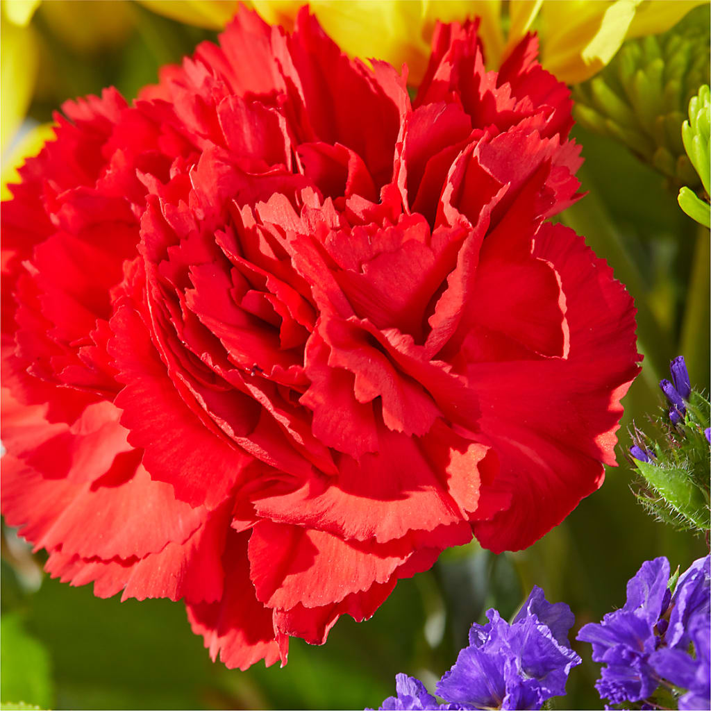 Brighter Days Bouquet –  Sandelas Flower Shop, Chicago IL