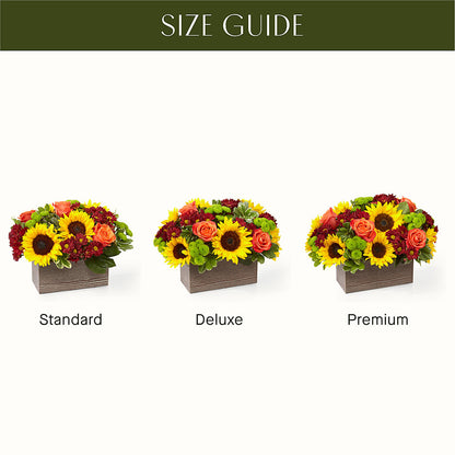 Happy Harvest Garden –  Sandelas Flower Shop, Chicago IL