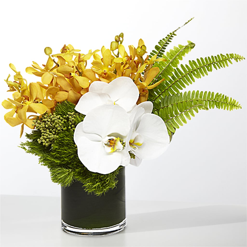 The Tropics –  Sandelas Flower Shop, Chicago IL