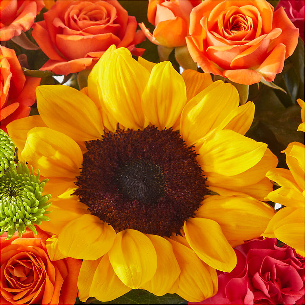 Sun-drenched Blooms Box Bouquet –  Sandelas Flower Shop, Chicago IL
