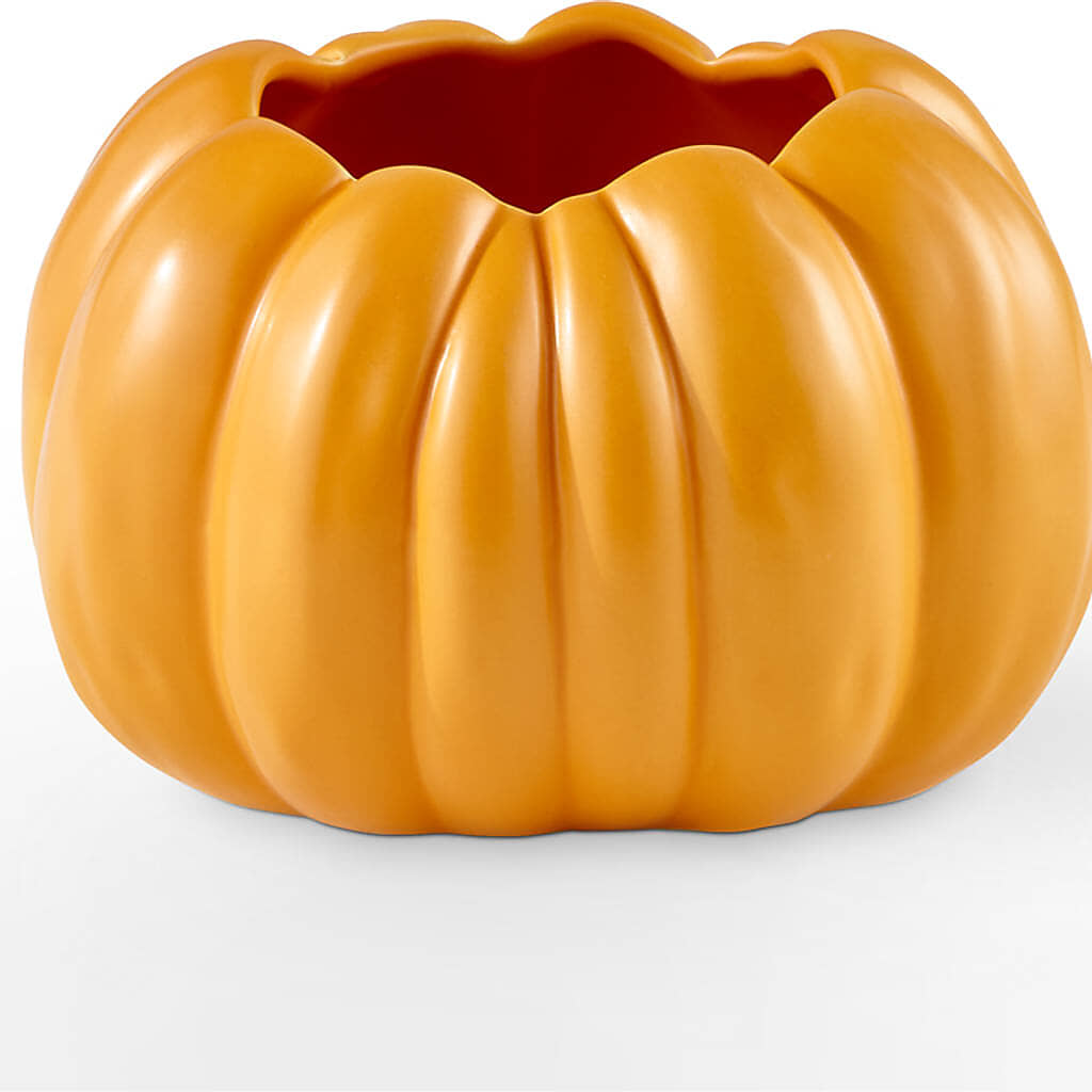Pick of the Patch Pumpkin Bouquet –  Sandelas Flower Shop, Chicago IL