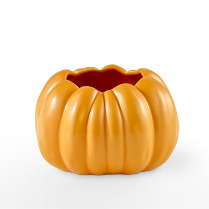 Pick of the Patch Pumpkin Bouquet –  Sandelas Flower Shop, Chicago IL