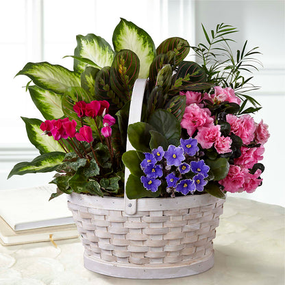 Peaceful Garden Planter –  Sandelas Flower Shop, Chicago IL