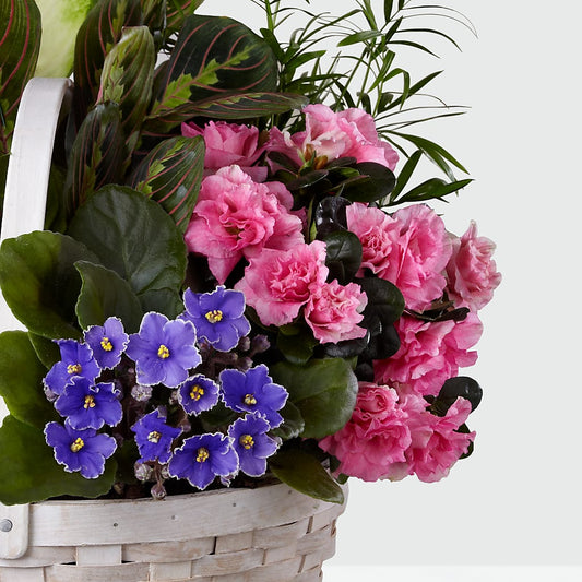 Peaceful Garden Planter –  Sandelas Flower Shop, Chicago IL