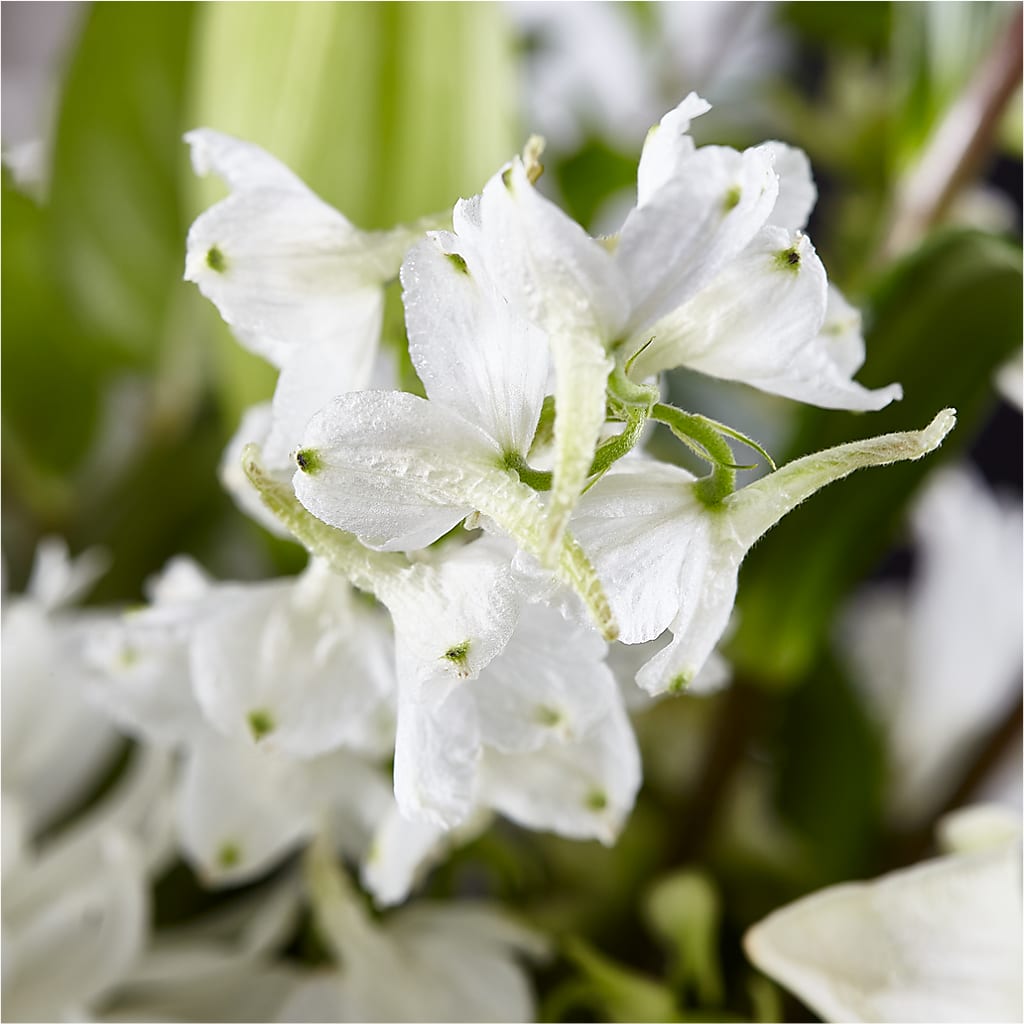 Classic Ivory – A Florist Original –  Sandelas Flower Shop, Chicago IL