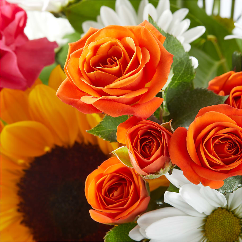 Sun-drenched Blooms Bouquet –  Sandelas Flower Shop, Chicago IL